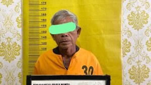 Ilustrasi kontekstual yang berkaitan dengan Meranti.