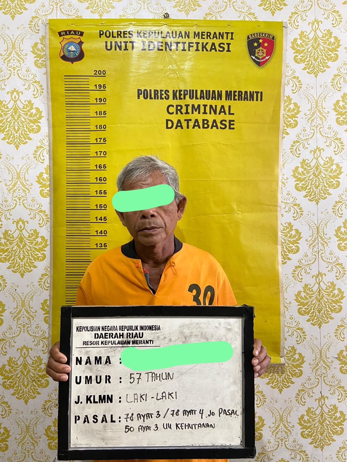Ilustrasi kontekstual yang berkaitan dengan Meranti.