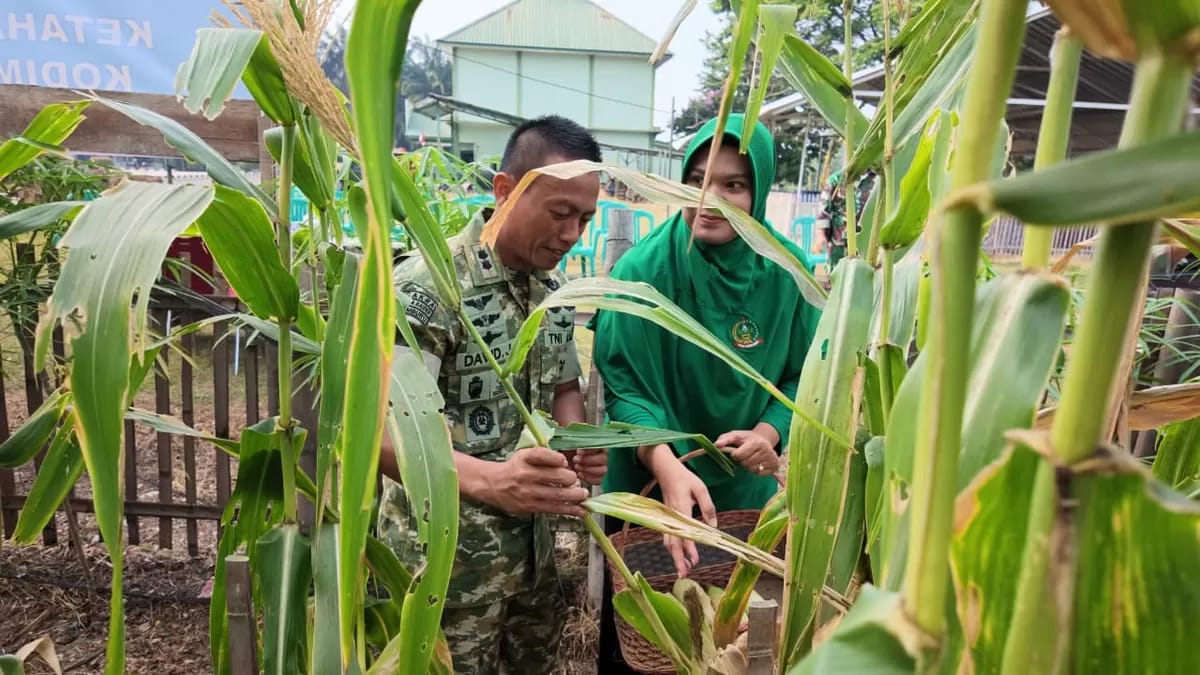Visual yang memberikan gambaran utuh tentang Lahat.