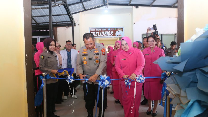 Visualisasi yang menunjukkan dinamika Batam.