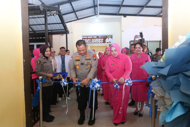Visualisasi yang menunjukkan dinamika Batam.