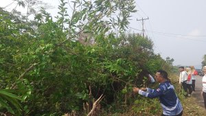 Gambar investigasi yang memberikan wawasan baru tentang Anambas.