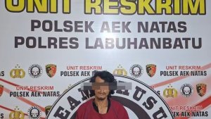 Polsek Aek Natas Amankan Pria Diduga Terlibat Pencurian Sawit