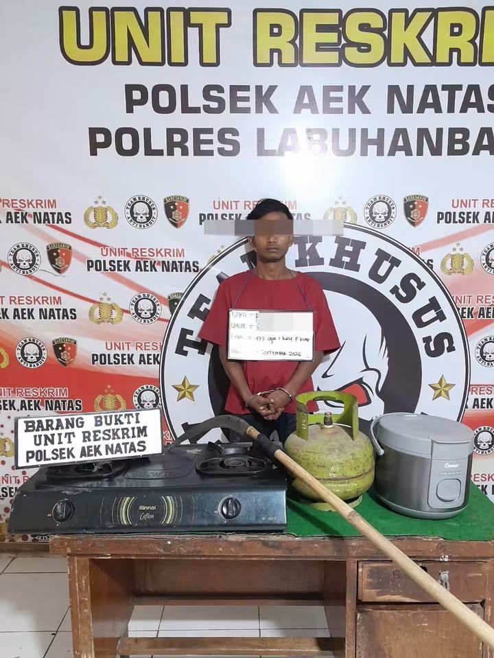 Visualisasi yang menggambarkan kondisi aktual Labuhanbatu.