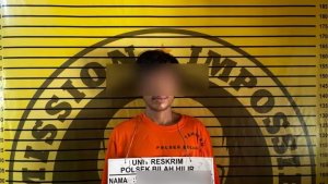 Polsek Bilah Hilir Amankan Pria Diduga Terlibat Pencurian Sawit Disertai Kekerasan