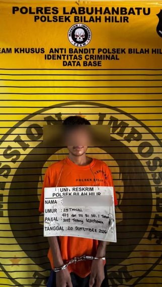 Ilustrasi yang menghidupkan laporan mendalam tentang Labuhanbatu.