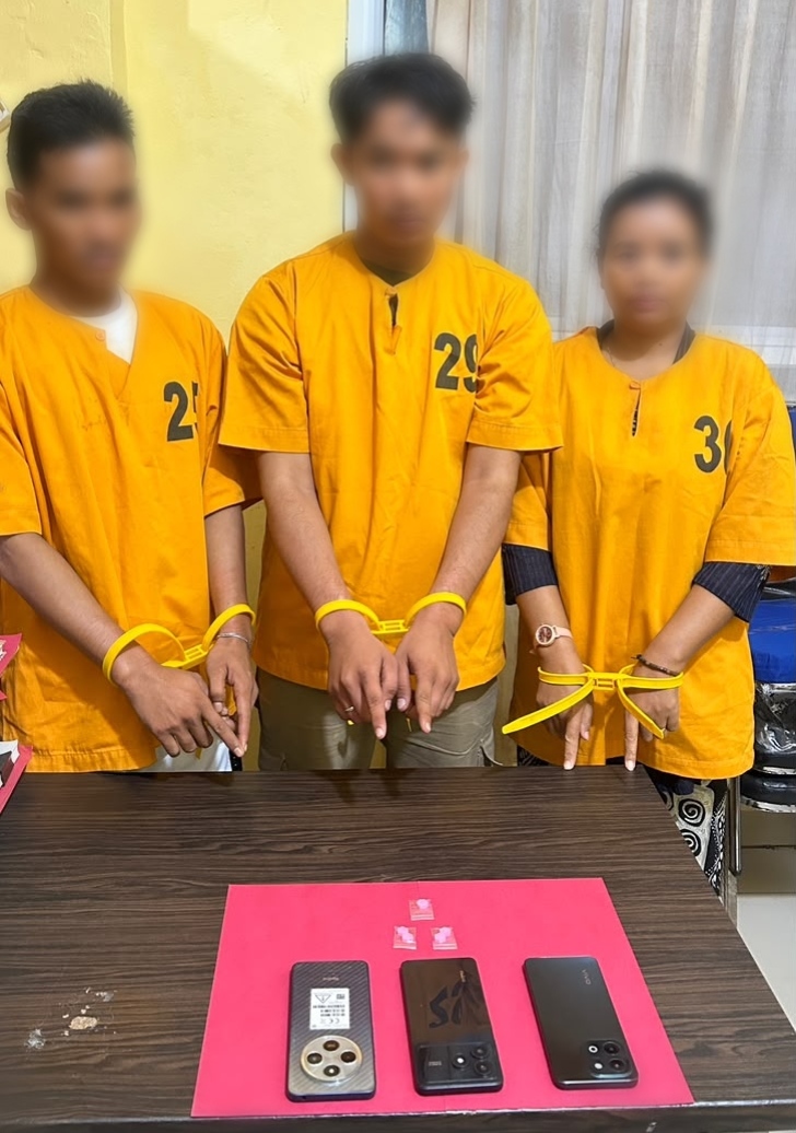 Ilustrasi terkini yang menunjukkan arah perkembangan Meranti.